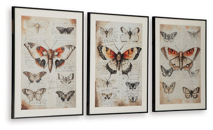 Jossletts Wall Art Set (3/CN)