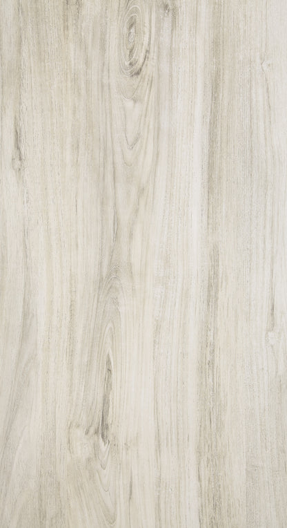 B331/B6/B1 : PKG004724